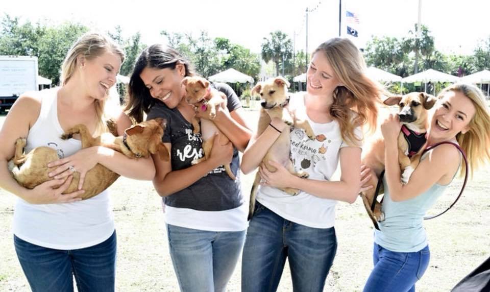 Good Karma Pet Rescue