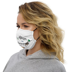 Face mask