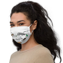 Load image into Gallery viewer, Face mask
