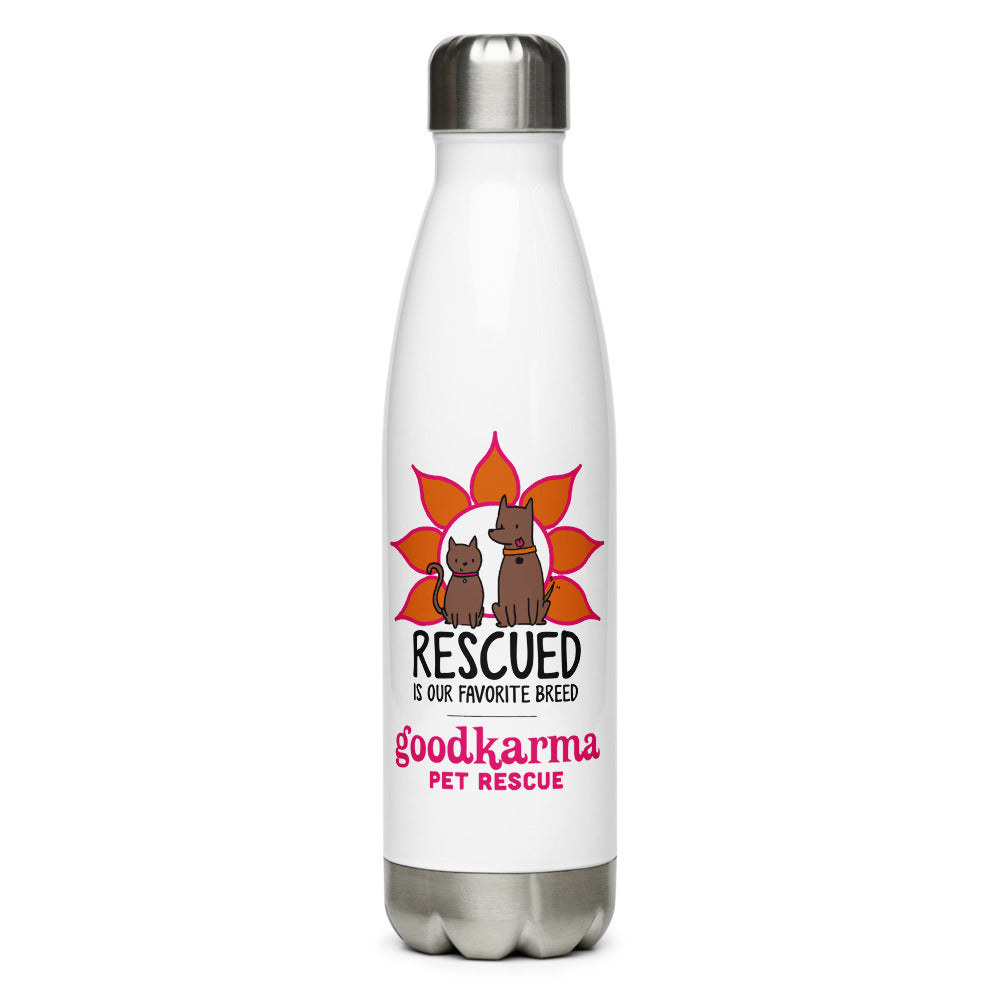 Stainless Steel Water Bottle